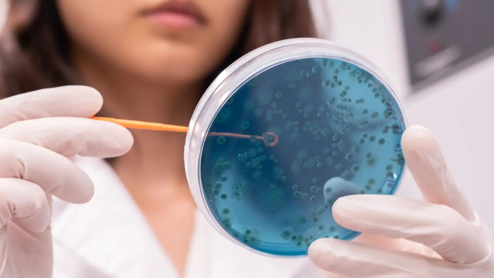 From Scientific Evidence to Precision Synbiotic Formulation